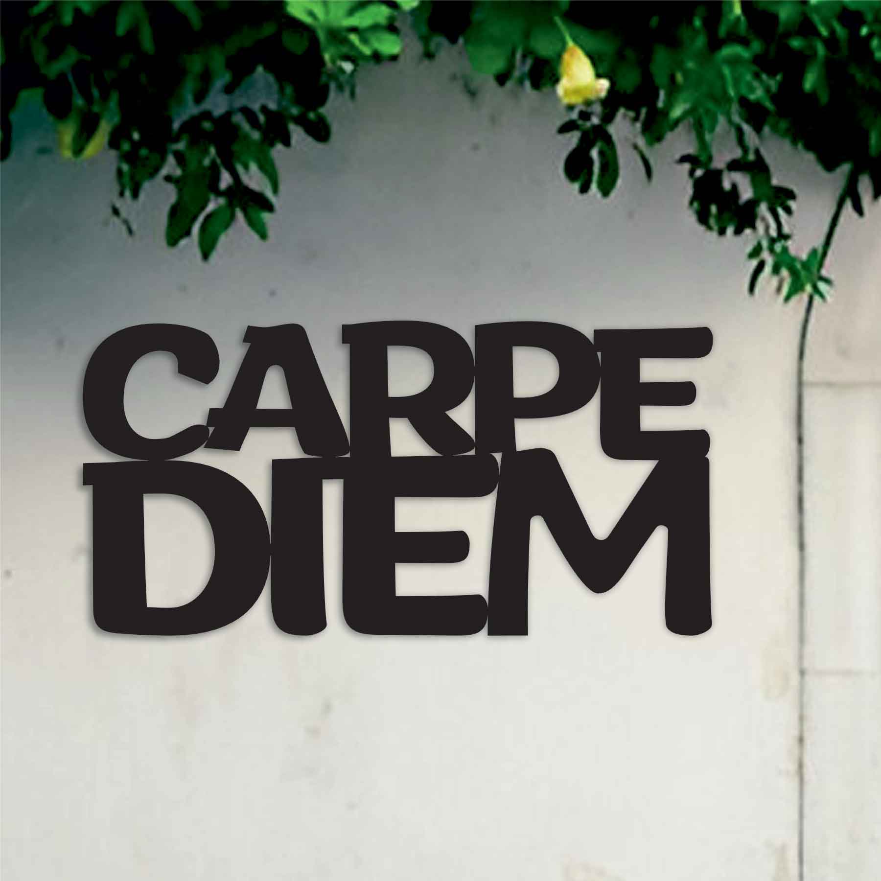CARPE DIEM METAL WALL ART QUOTES